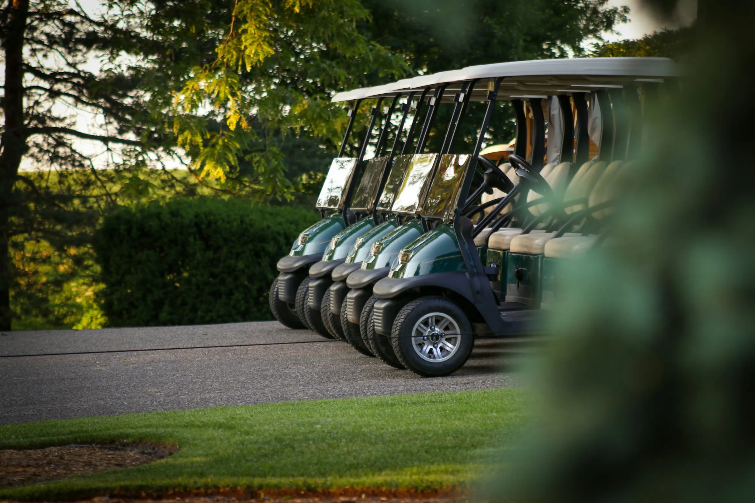 Row of green Club Car golf carts on a golf course at sunset